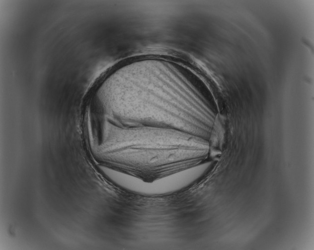 X0000091191312200709061005