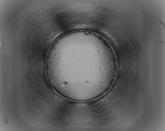 X0000091191313200709061005