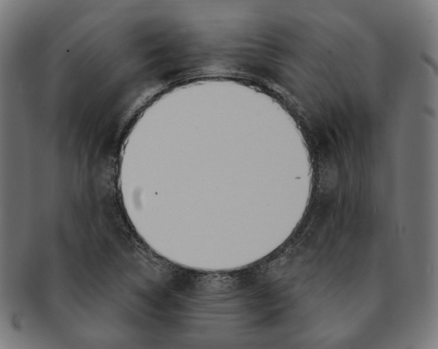 X0000091191314200709061005