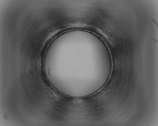 X0000091191315200709061005