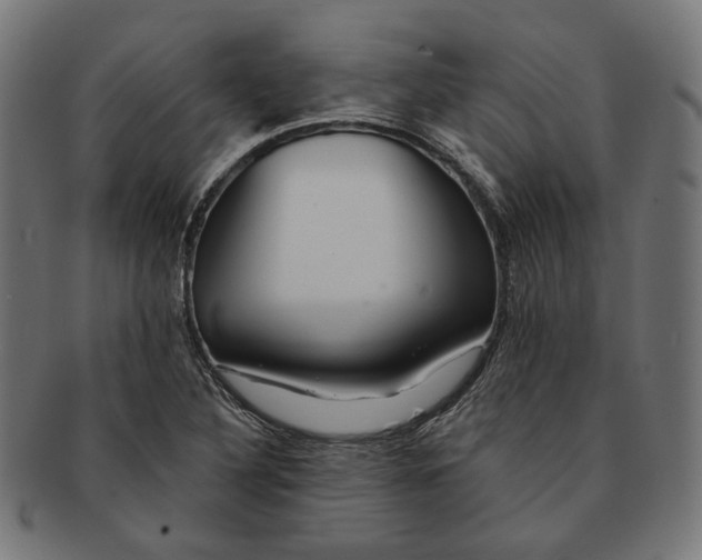 X0000091191316200709061005