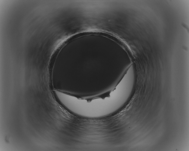 X0000091191319200709061005