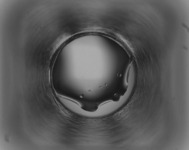 X0000091191320200709061005