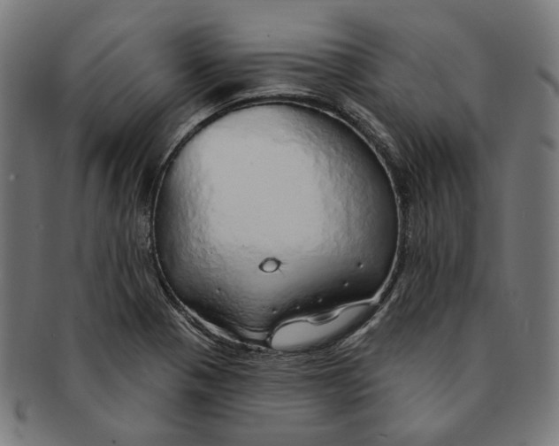 X0000091191321200709061005