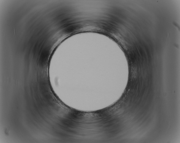 X0000091191322200709061005