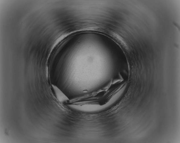 X0000091191324200709061005