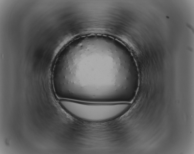 X0000091191325200709061005