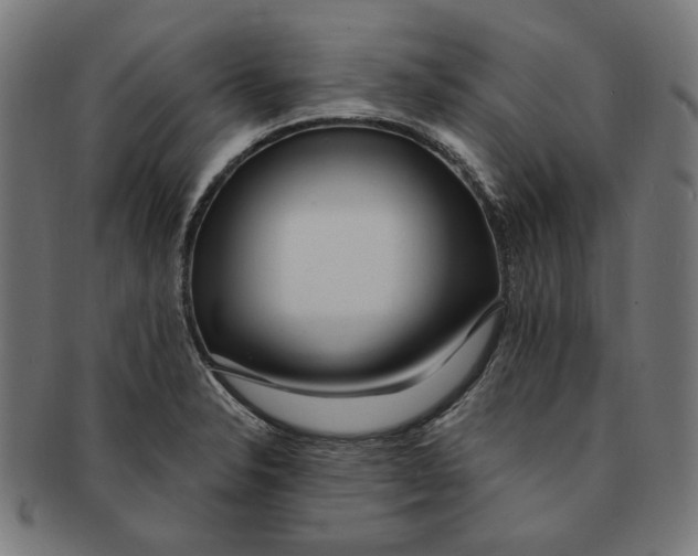 X0000091191326200709061005