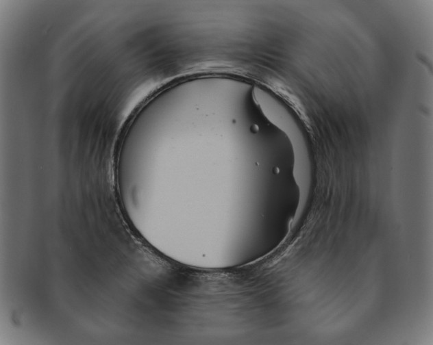 X0000091191328200709061006