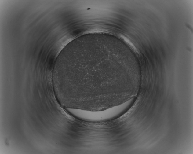 X0000091191329200709061006