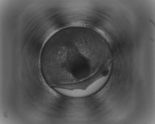 X0000091191331200709061006