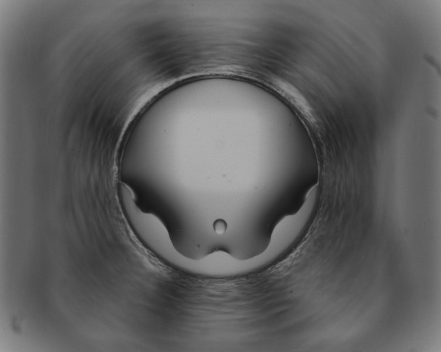 X0000091191332200709061006