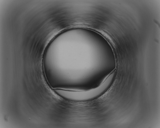 X0000091191333200709061006