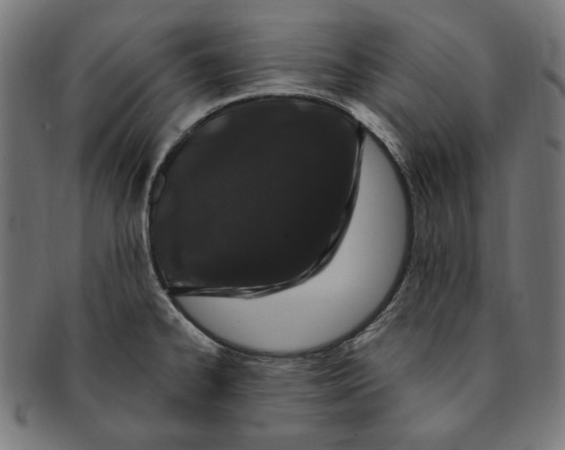 X0000091191334200709061006