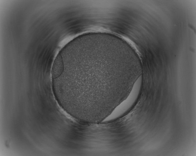 X0000091191335200709061006