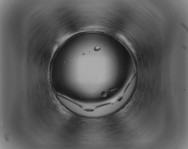 X0000091191336200709061006