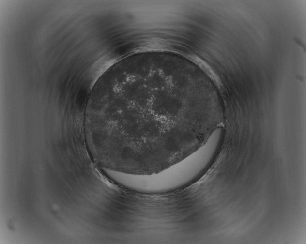 X0000091191337200709061006