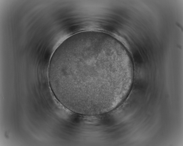 X0000091191338200709061006