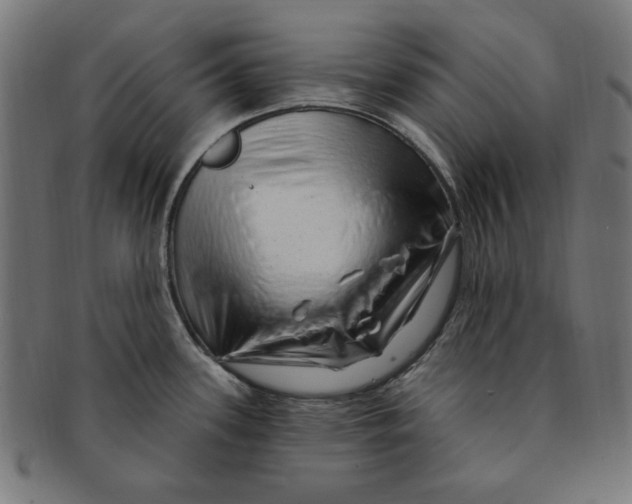 X0000091191339200709061006