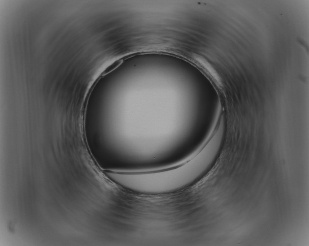 X0000091191340200709061006