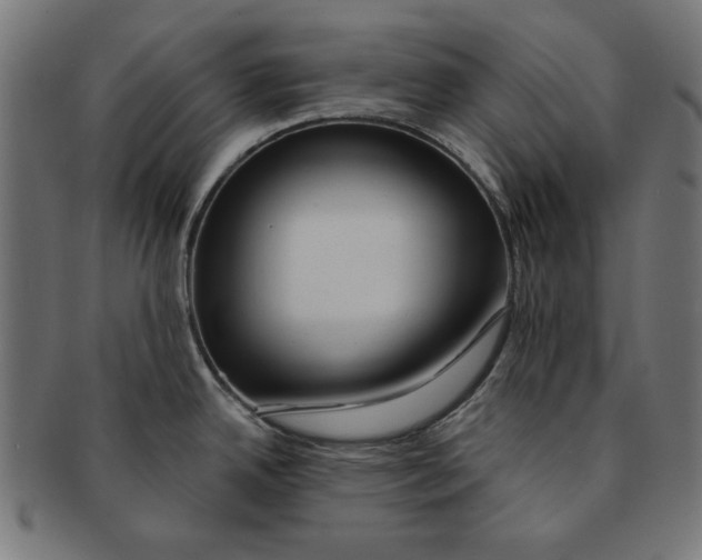 X0000091191342200709061006