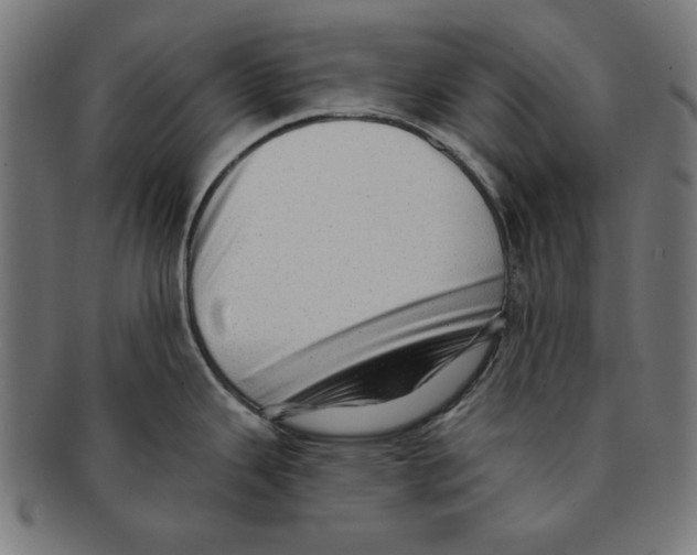 X0000091191343200709061006