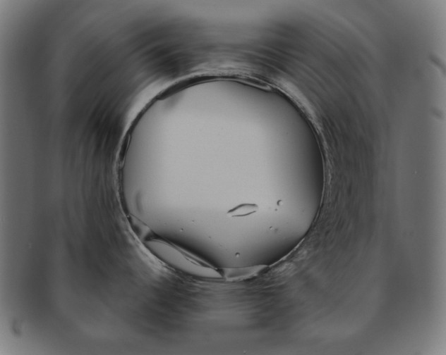 X0000091191344200709061006