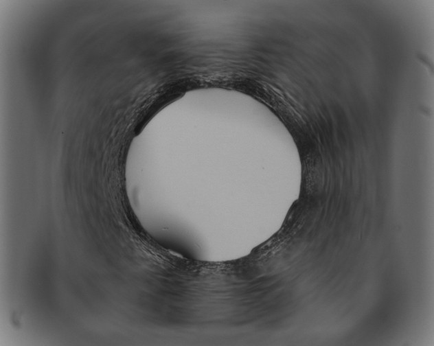 X0000091191345200709061005