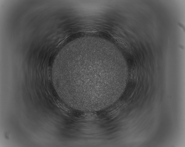 X0000091191346200709061005