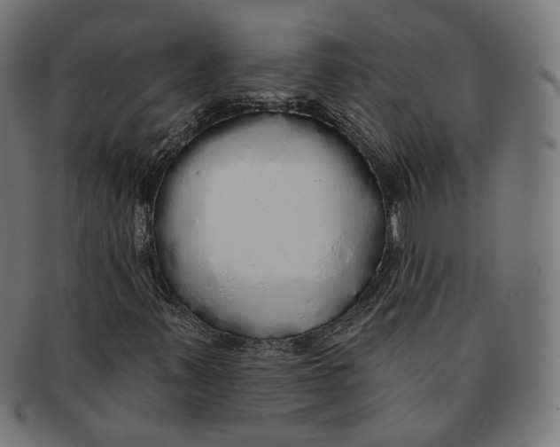 X0000091191347200709061005