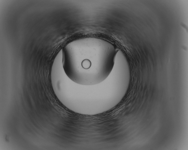 X0000091191348200709061005