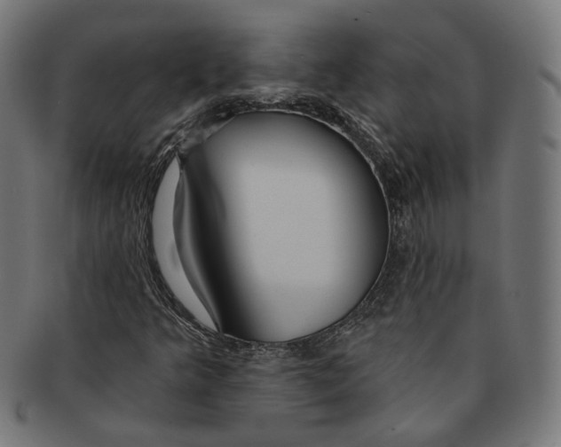 X0000091191349200709061005