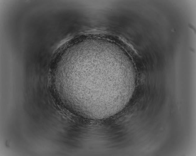 X0000091191350200709061005