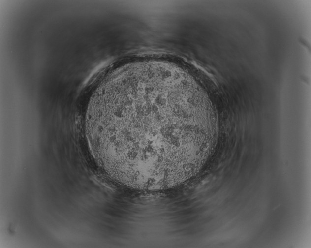 X0000091191351200709061005