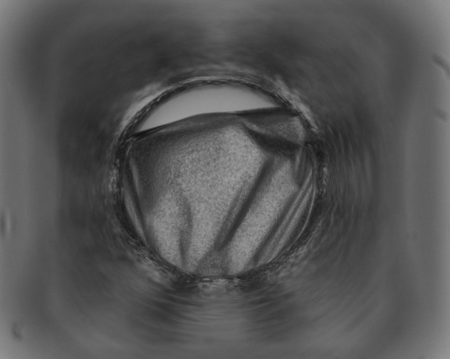 X0000091191352200709061005