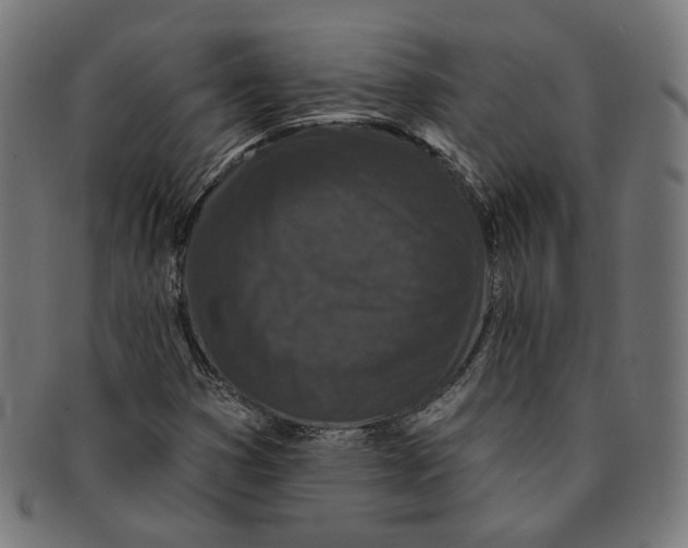 X0000091191353200709061005