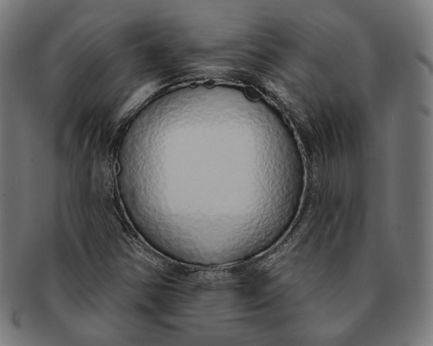 X0000091191354200709061005