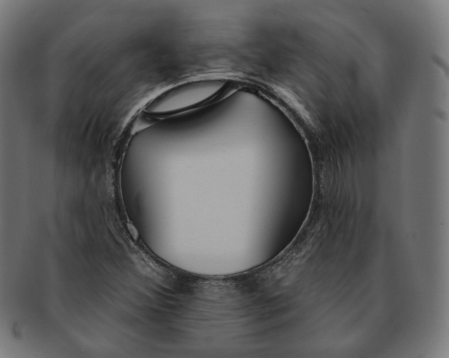 X0000091191356200709061005