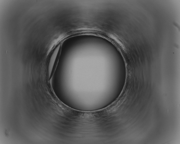 X0000091191357200709061005