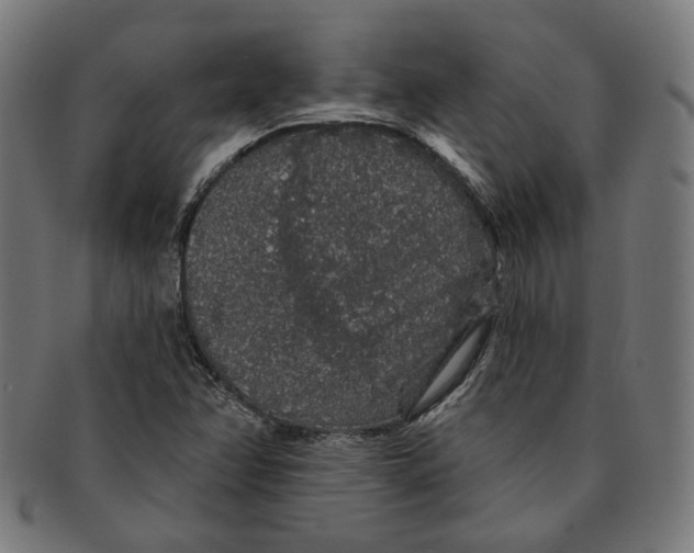 X0000091191358200709061005