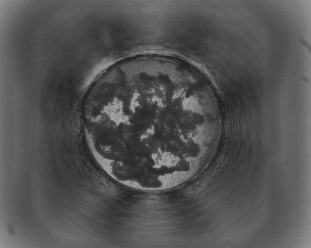 X0000091191359200709061005