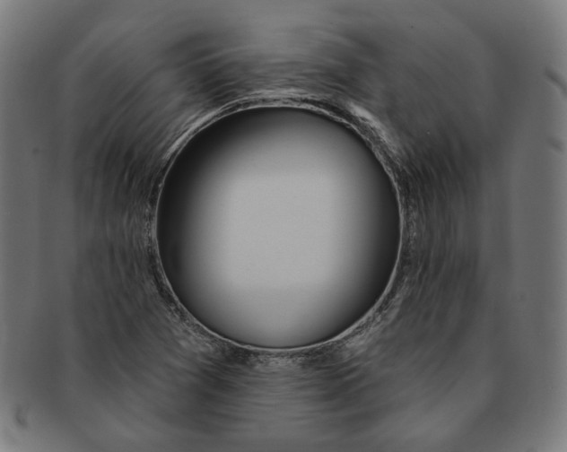 X0000091191361200709061005