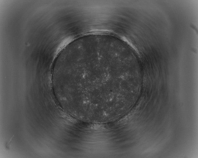 X0000091191362200709061005