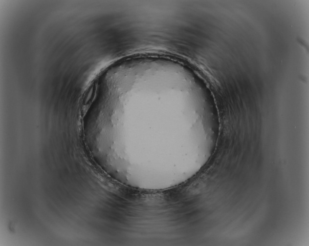 X0000091191363200709061005