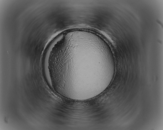 X0000091191364200709061005