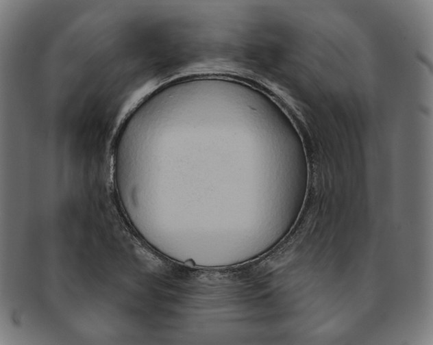 X0000091191366200709061005