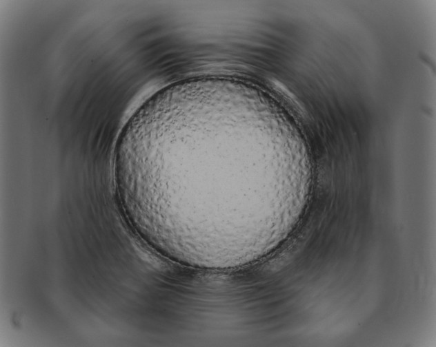 X0000091191370200709061005