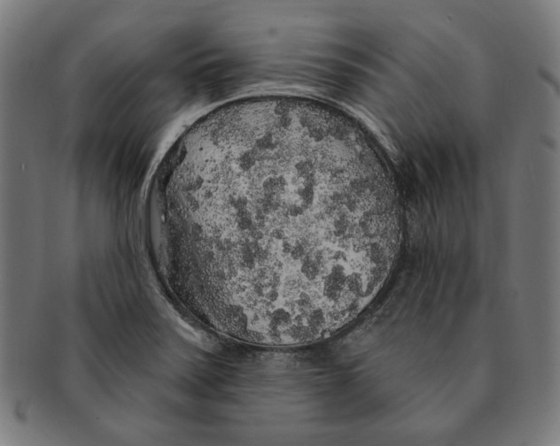 X0000091191371200709061005