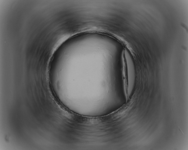 X0000091191375200709061005