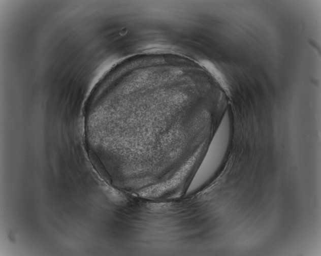 X0000091191376200709061005